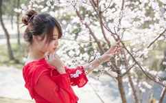 三五男孩什么意思